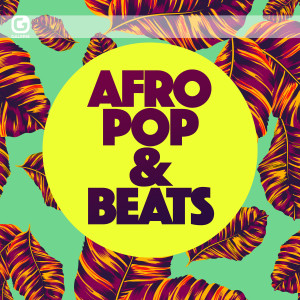Bustafunk的專輯Afro Pop & Beats