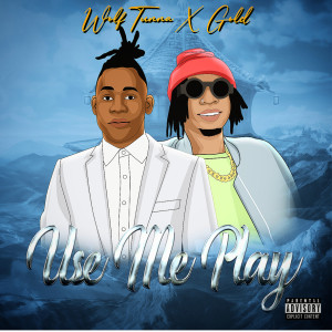 Listen to Use Me Play (Explicit) song with lyrics from WolfTunna
