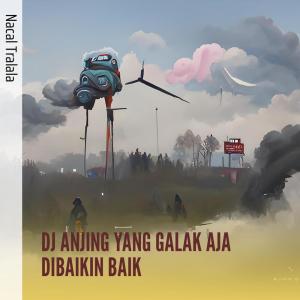 Dengarkan lagu Dj Anjing Yang Galak Aja Dibaikin Baik nyanyian NACAL TRALALA dengan lirik