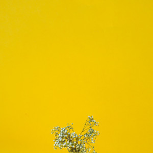 Dengarkan lagu Buddhist Ritual nyanyian Rain for Deep Sleep dengan lirik