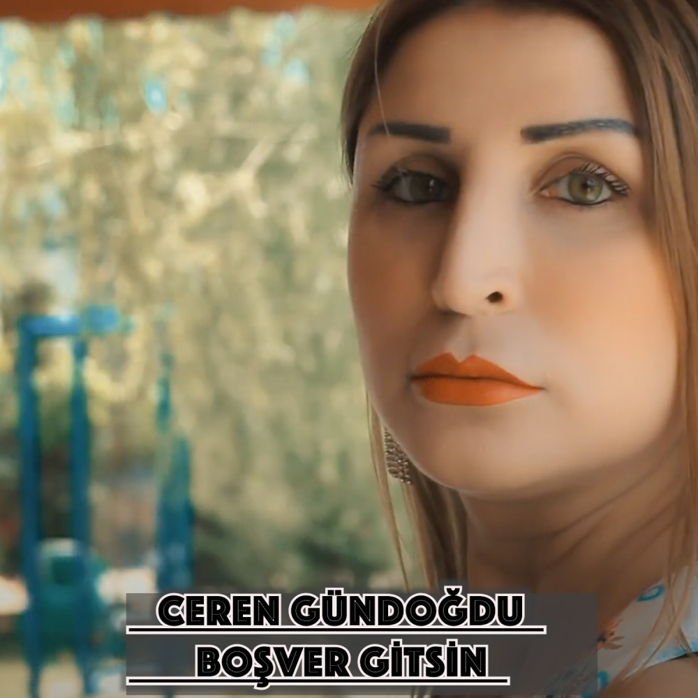 Boşver Gitsin