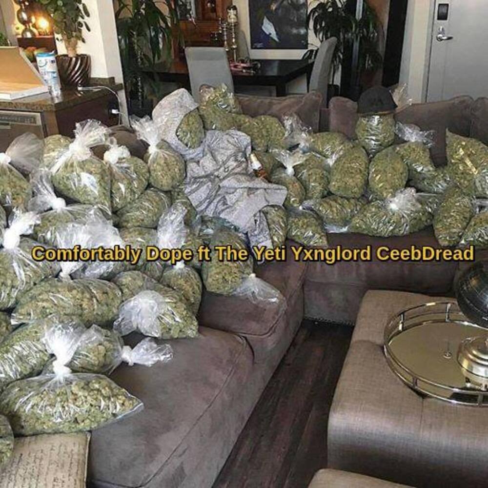 Comfortably Dope (feat. Yxnglord & The Yeti) (Explicit)