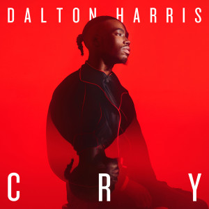 收聽Dalton Harris的Cry歌詞歌曲