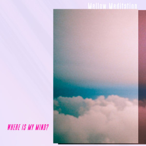 อัลบัม Where is My Mind (Instrumental Piano Version) ศิลปิน Mellow Meditation