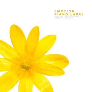 Album New Age Piano Touching Frozen Hearts from Korea Various Artists