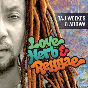 ดาวน์โหลดและฟังเพลง Life in the Red พร้อมเนื้อเพลงจาก Taj Weekes