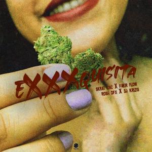 ดาวน์โหลดและฟังเพลง Exxxquisita (Explicit) พร้อมเนื้อเพลงจาก Skrat CNC