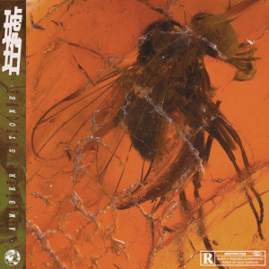 收听GALI的AmberStone (Explicit)歌词歌曲