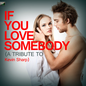 ดาวน์โหลดและฟังเพลง If You Love Somebody พร้อมเนื้อเพลงจาก Ameritz Tribute Standards