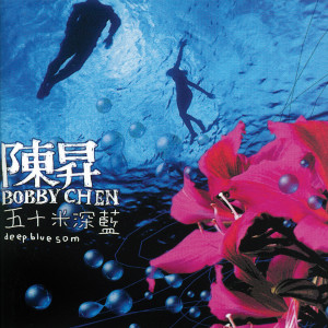 Dengarkan 漫遊2002 lagu dari Bobby Chen dengan lirik