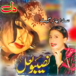 Listen to Turr Jana Mahi Sang Aryo song with lyrics from Naseebo Lal