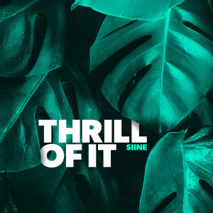 Listen to Thrill Of It (Chez Remix) (Instrumental Version) (Instrumental Version|Chez Remix) song with lyrics from Siine
