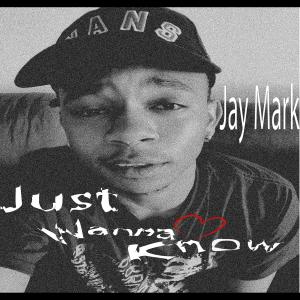 ดาวน์โหลดและฟังเพลง Just Wanna Know (Explicit) พร้อมเนื้อเพลงจาก Jay Mark