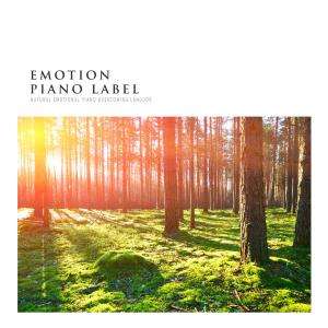 Various Artists的專輯Natural Emotional Piano Overcoming Languor (Nature Ver.)