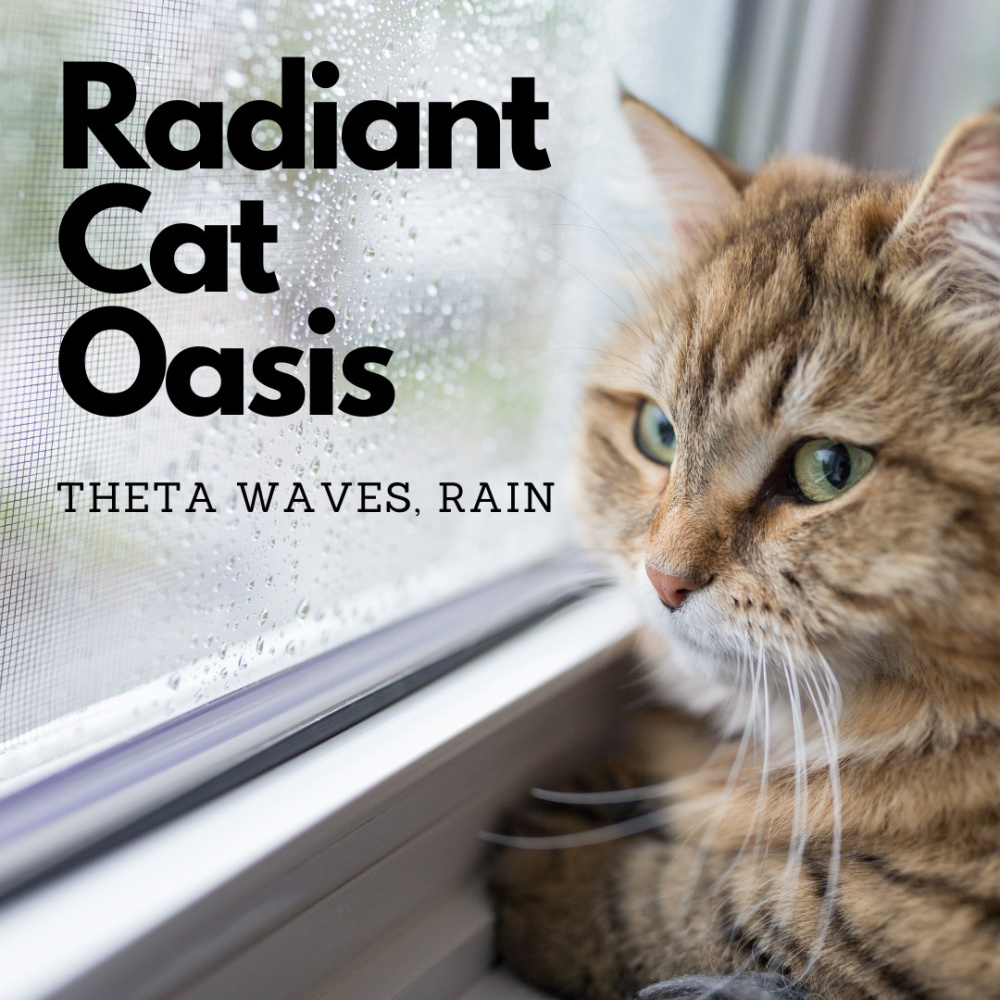 Mystical Cat's Celestial Rain Theta Waves