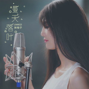 收听林梅子的漫天落叶 (伴奏)歌词歌曲