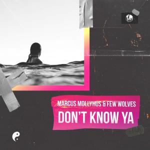 Listen to Don't Know Ya song with lyrics from Marcus Mollyhus