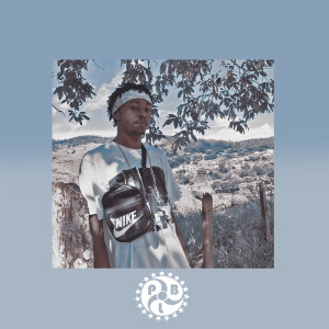 ดาวน์โหลดและฟังเพลง Pássaros พร้อมเนื้อเพลงจาก Poubel Mc