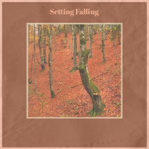 Album Setting Falling from Various