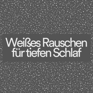 Listen to Elektronische Interferenz song with lyrics from Weißes Rauschen