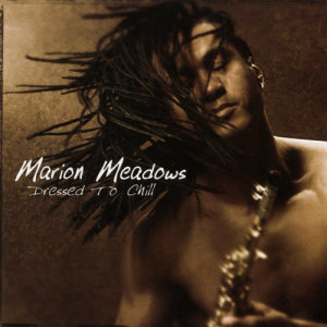 ดาวน์โหลดและฟังเพลง I Believe I Can Fly พร้อมเนื้อเพลงจาก Marion Meadows
