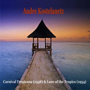 收聽Andre Kostelanetz & His Orchestra的Siboney歌詞歌曲