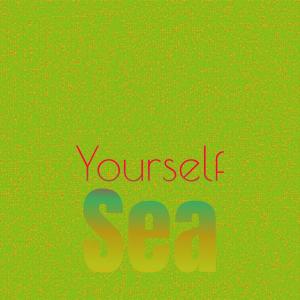 ดาวน์โหลดและฟังเพลง Yourself Sea พร้อมเนื้อเพลงจาก Wilbe Latrell
