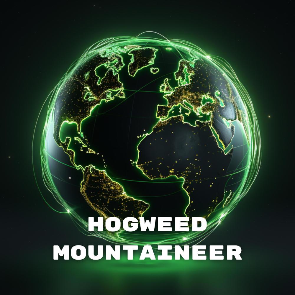 Hogweed