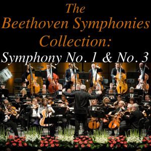 Listen to Symphony No. 3 in E Flat Major, Op. 55: Allegro molto song with lyrics from Novosibirsk Philharmonic Orchestra
