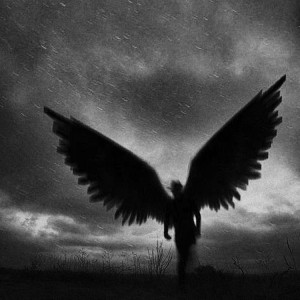 Album nameless(PHONK忠魂) from FLYSBR