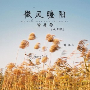 Dengarkan lagu 微风暖阳皆是你 (女生版) nyanyian 刘烁七 dengan lirik
