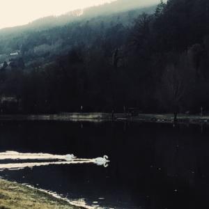 ดาวน์โหลดและฟังเพลง zgubidan พร้อมเนื้อเพลงจาก Skar 54