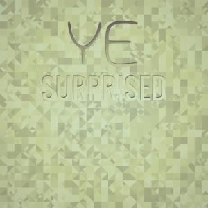 Album Ye Surprised from Various