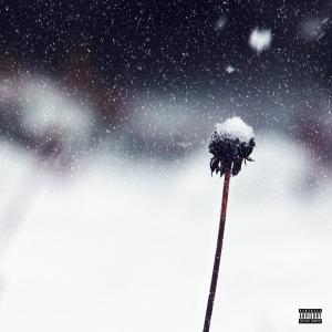 UltraFire的专辑WE DON'T EVEN TALK (feat. Maya Miko) (Explicit)