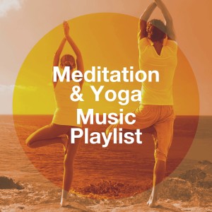 Chinese Relaxation and Meditation的专辑Meditation & Yoga Music Playlist