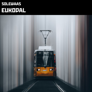 Listen to Eukodal (Radio Edit) song with lyrics from Solewaas