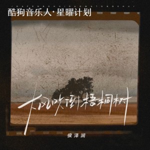 侯泽润的专辑大风吹倒梧桐树（现场live版）