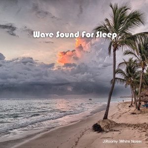 Listen to Wave Sound For Sleep (ASMR, Nature Sound) song with lyrics from J.Roomy