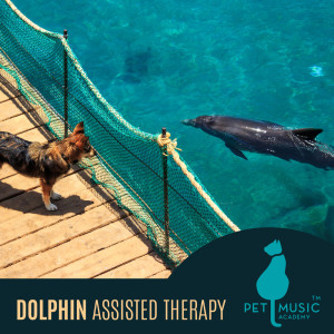 Album Dolphin Assisted Therapy (The Power of Pets, Music to Help Your Dog Sleep and Relax) oleh Pet Music Academy