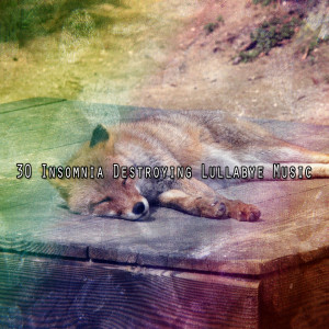 Album 30 Insomnia Destroying Lullabye Music from Sleep Sounds Ambient Noises