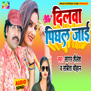 Album Dilwa Pighal Jai from 