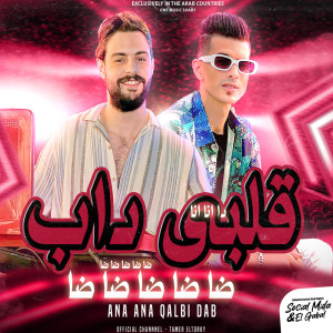 Album انا قلبى داب from تامر التركى