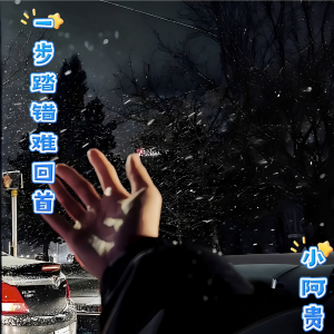 Listen to 一步踏错难回首 (cover: 解天龙) (完整版) song with lyrics from 罗小贵