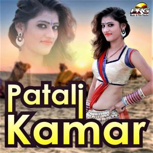 Dengarkan lagu Pappi Ki Aave Yaad nyanyian Various Artists dengan lirik