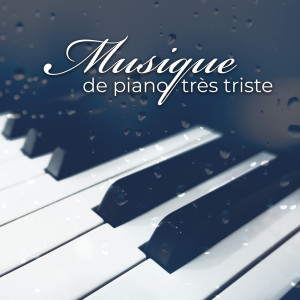 收聽Triste piano musique oasis的Dans la chambre rouge歌詞歌曲
