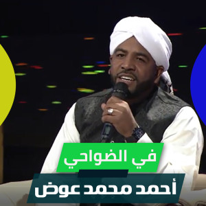 Listen to في الضواحي song with lyrics from احمد محمد عوض