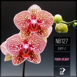 Listen to Your Heart song with lyrics from Djeff-Z
