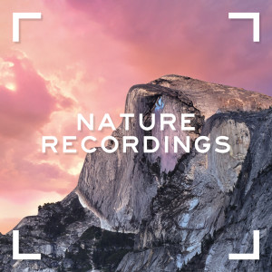 อัลบัม Nature Recordings ศิลปิน Sounds for Life