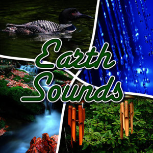 ดาวน์โหลดและฟังเพลง Steady Waterfall Nature Sound พร้อมเนื้อเพลงจาก Sounds Of Nature