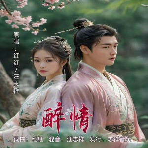 Listen to 醉情（对唱版） (完整版) song with lyrics from 红红